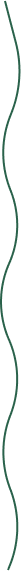 Connecting line